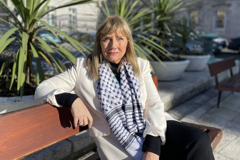 Frances Black at Leinster House. Photo Gráinne Ní Aodha